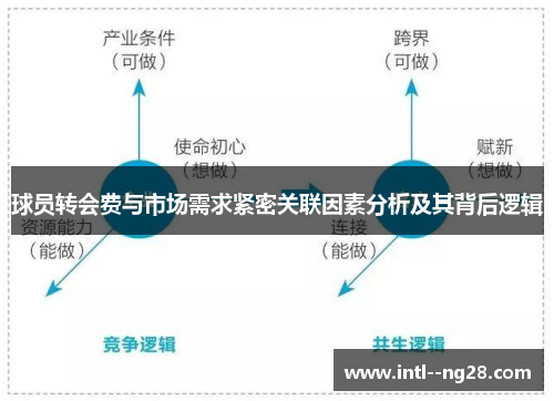 球员转会费与市场需求紧密关联因素分析及其背后逻辑