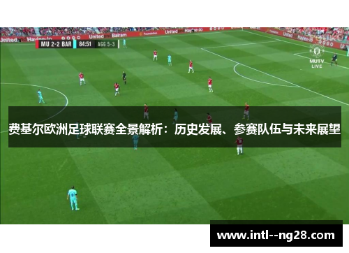 费基尔欧洲足球联赛全景解析：历史发展、参赛队伍与未来展望