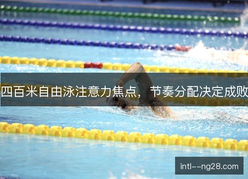 四百米自由泳注意力焦点，节奏分配决定成败